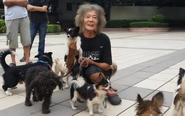 Buồn của phú nhị đại thừa kế 186 tỷ đồng từ cha mẹ tỷ phú: Tuổi xế chiều không nhà, không xe, trở thành người vô gia cư lang thang trên phố