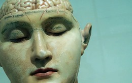 Bốn lần não bộ tự "khởi động lại" trong đời: Bạn đang ở giai đoạn nào?