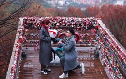 MC Mù Tạt của VTV được cầu thủ nổi tiếng, ít hơn tuổi quỳ gối cầu hôn ở Hàn Quốc