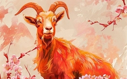 12 con giáp KHÔNG NÊN học ngành gì: Ai không nên học kế toán, hành chính, ai cần tránh xa những ngành cần giao tiếp, cởi mở?