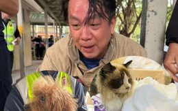 Câu chuyện ấm lòng giữa tang thương trong vụ cháy chung cư Hong Kong (Trung Quốc): Lính cứu hỏa có phải có "thần lực" không?