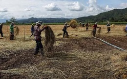 Các mỏ độc hại đe dọa sông ngòi và cộng đồng Đông Nam Á