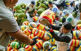 1 loại trái cây của Việt Nam chính thức được xuất khẩu chính ngạch sang Trung Quốc: Nông dân thu lợi lớn!