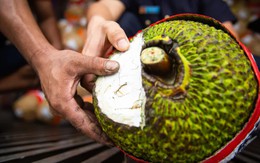 Mít tươi xuất khẩu chính ngạch sang Trung Quốc