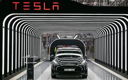 ‘Cơn đau đầu’ mới của Elon Musk: Doanh số giảm gần 1 nửa tại châu Âu khi thị trường xe điện chung tăng 26% – chuyện gì đang xảy ra?