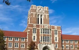 Khoe con học trường gần 190 triệu đồng/học kỳ, ông bố bất ngờ bị MXH chất vấn: "Có thật là yêu thương con không?"