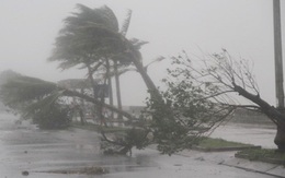 Cơn bão sắp đổ bộ vào đất liền nước ta có cường độ rất mạnh, gây mưa to đến rất to