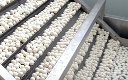 Một mặt hàng ‘ngon bổ rẻ’ của Việt Nam đang đắt hàng từ Á đến Âu: Vừa thu về hơn 200 triệu USD, Thái Lan, Hàn Quốc đua nhau săn lùng