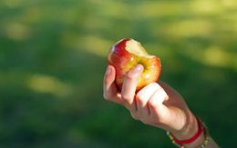 Mỗi ngày ăn 1 quả táo, cơ thể có thể nhận về 6 thay đổi bất ngờ