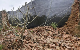 Giám đốc Trung tâm Bảo tồn Di tích Cố đô Huế tiết lộ hiện tượng trước khi tường Hoàng thành sập