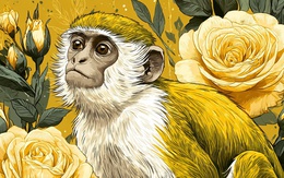 Tử vi ngày 6/11: 3 con giáp được phát lộc lớn, công việc được sếp trọng dụng, tiền bạc có tin vui