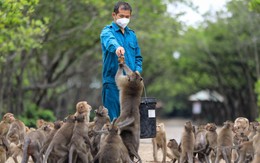 TP. Hồ Chí Minh dự kiến chi 1,6 tỷ/ngày để làm một việc quan trọng