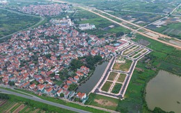 Tham gia đấu giá đất rồi bỏ cọc có thể bị 'cấm cửa' tới 10 năm