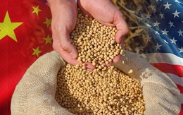 Trung Quốc dỡ bỏ một phần thuế trả đũa đối với nông sản Mỹ, nhưng vẫn giữ thuế 13% với đậu tương