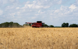 Sau 1 năm quay lưng, quốc gia BRICS nhập lại nông sản chủ chốt của Mỹ, thị trường thở phào nhẹ nhõm