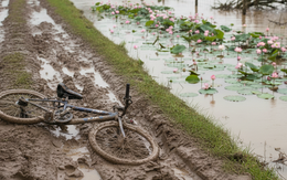 Hai anh em họ ở Đà Nẵng tử vong thương tâm