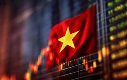 Một lĩnh vực tại Việt Nam lên như diều gặp gió, số lượng nhà đầu tư tăng mạnh, tương đương 11% dân số