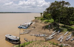 Không phải vàng hay dầu, nền kinh tế trên 200 triệu dân săn lùng ‘kho báu’ trải dài 400 km sâu dưới rừng nhằm dắt lưng 'vũ khí' giữa thương chiến, Trung Quốc ngỏ ý tham gia