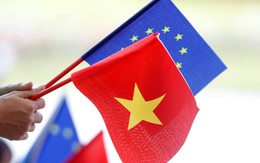 Sau Singapore, không nước nào ở châu Á làm được điều này tốt như Việt Nam, được Chủ tịch EuroCham nhận xét là 'bậc thầy'