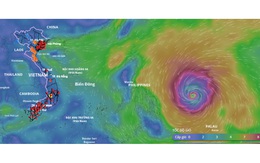 Bão Phượng Hoàng tăng cấp dữ dội, đã mạnh lên cấp cuồng phong, có đổ bộ vào đất liền nước ta?