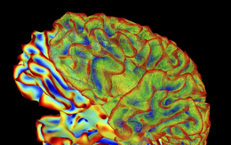 Công nghệ đột phá: Trí tuệ nhân tạo đọc được suy nghĩ con người