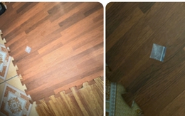 Bảo vệ trường tiểu học ở Hải Phòng tổ chức ‘bay lắc’ ngay nơi làm việc