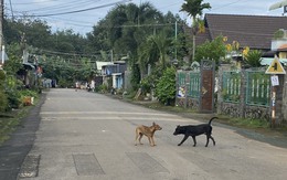Nam thanh niên không uống được nước, không chịu được tiếng ồn và tử vong sau 20 ngày bị chó cắn