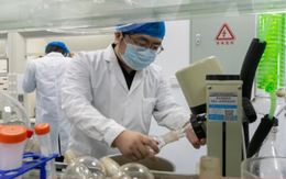 Giám đốc công ty công nghệ Trung Quốc: Sống tới 150 tuổi là hoàn toàn thực tế