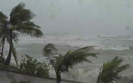 Bão Phượng Hoàng chính thức mạnh lên cấp siêu bão