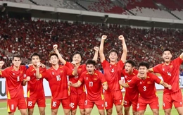 Bóng đá Việt Nam sánh vai Nhật Bản, lập kỷ lục khó tin khiến châu Á ngưỡng mộ