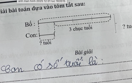 Bài toán của học sinh tiểu học khiến phụ huynh "vò đầu bứt tai", tính tuổi thôi mà khó thế này?