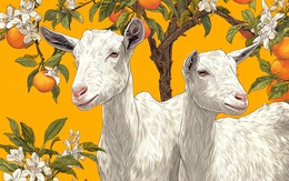 Top 3 chòm sao số đỏ như son ngày 10/12: Công việc lên hương, tình duyên viên mãn