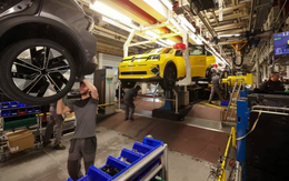 CEO Ford thốt lên: 'Chúng tôi đang trong cuộc chiến sinh tử', đưa ra quyết định lịch sử nhằm cạnh tranh với đối thủ Trung Quốc