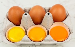 Ăn lòng đỏ trứng gây đau tim? Bác sĩ tiêu hóa tiết lộ sự thật