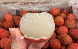 Vải thiều Úc giá gần 5 triệu/thùng 5 kg ở Việt Nam