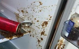 4 thói xấu khi dùng tủ lạnh, âm thầm hại cả sức khỏe lẫn ví tiền: Nhiều người biết nhưng kệ