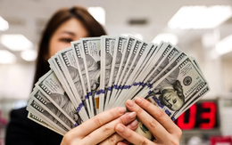 Hàn Quốc vừa quyết chi hơn 6,5 triệu USD mua "quốc bảo" Việt Nam