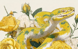 4 con giáp càng bớt so sánh càng dễ sống giàu sang, đủ đầy