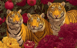 5 con giáp gặp khó khăn trong năm Ất Tỵ, năm Bính Ngọ 2026 lội ngược dòng viên mãn, tiền bạc rủng rỉnh