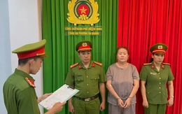 Bắt tạm giam Đỗ Hồng Trinh