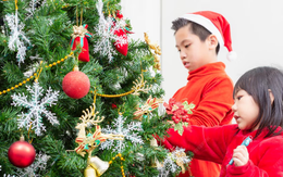 Đập tiền trang trí Giáng sinh, con dâu bị cả nhà chồng phản đối nhưng vẫn quyết làm để bảo vệ một chuyện