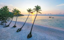 Việt Nam vươn lên trở thành điểm đến yêu thích dịp cuối năm