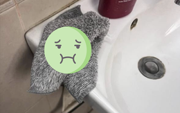 Con gái lớp 10 học giỏi đột ngột hành xử lạ, phụ huynh Hà Nội "cầu cứu "cộng đồng mạng