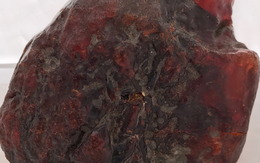 Nhặt hòn đá dưới suối về chặn cửa suốt mấy thập kỷ, chuyên gia vừa xem đã nói là kho báu gần 29 tỷ đồng