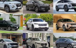 23 xe hybrid ra mắt Việt Nam 2025: Riêng 1 mẫu lắp cả MHEV, PHEV, nhiều chiếc đi cả trăm km không cần xăng