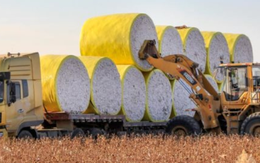 Mỹ chi hơn 16 tỷ USD mua 'mỏ vàng' thứ 3 thế giới của Việt Nam: Nước ta đã xuất sang 2/3 thế giới, 3 ông trùm thống trị toàn cầu đều đến từ châu Á