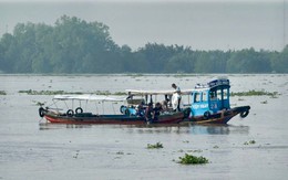 Vỏ lãi tông đò ngang trên sông Tiền: Tìm thấy thi thể người lái đò