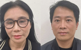 Vợ chồng chủ thẩm mỹ viện Mailisa nộp 300 tỉ đồng