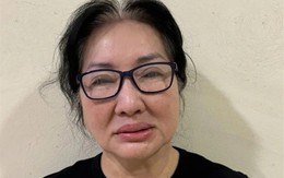 Chủ tịch Quốc Cường Gia Lai Nguyễn Thị Như Loan nộp 100 tỷ đồng, 4 thửa đất