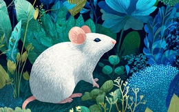 Trước thềm Đông chí, 3 con giáp này hưởng phúc từ Thần Tài, công việc hanh thông, tiền bạc cũng rủng rỉnh